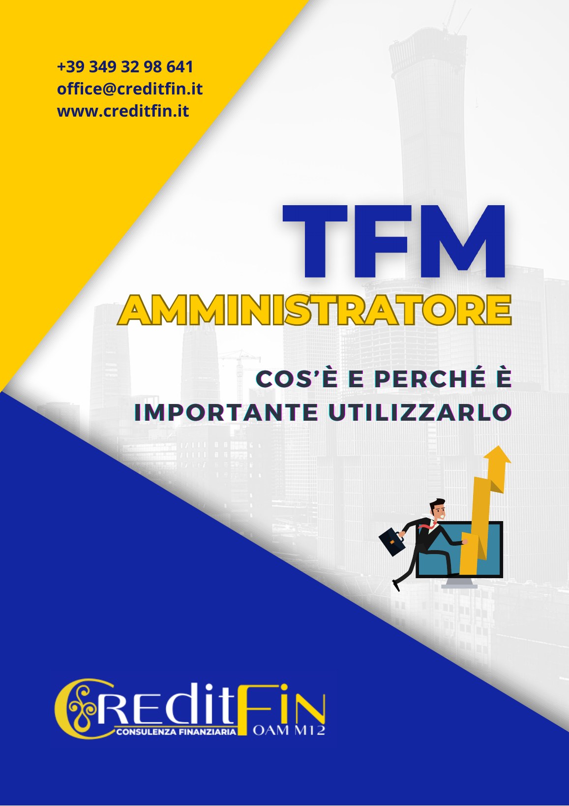 Copertina dell’ebook TFM Amministratore
